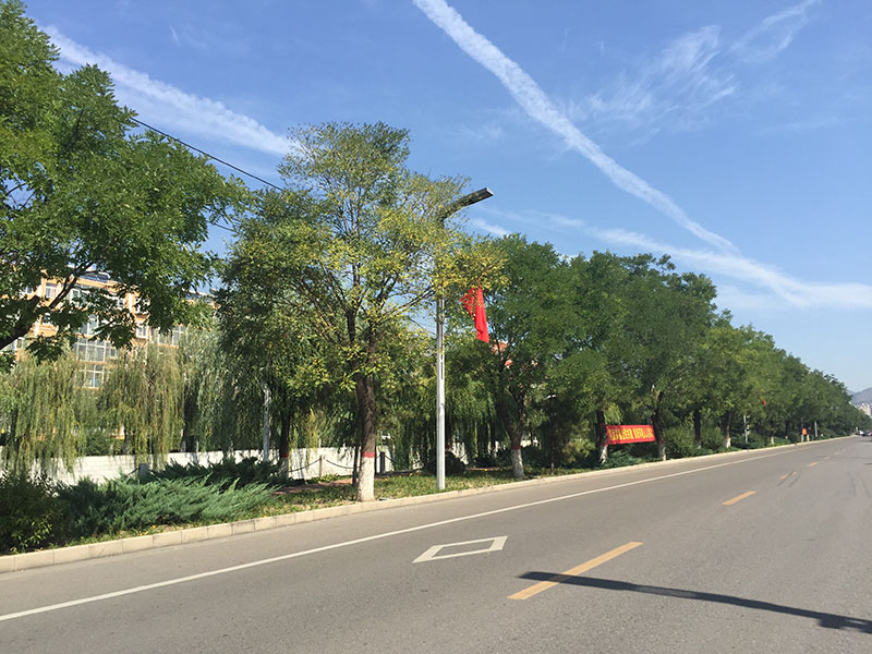 =�I�Ӵ�փɂ�(c��)�G����������