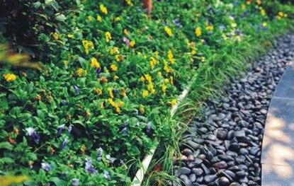 =營山縣三星路道路排水改造工程設計